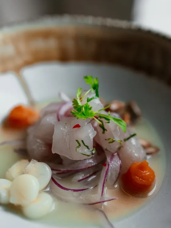 White fish ceviche with red onion, Peruvian corn and sweet potato