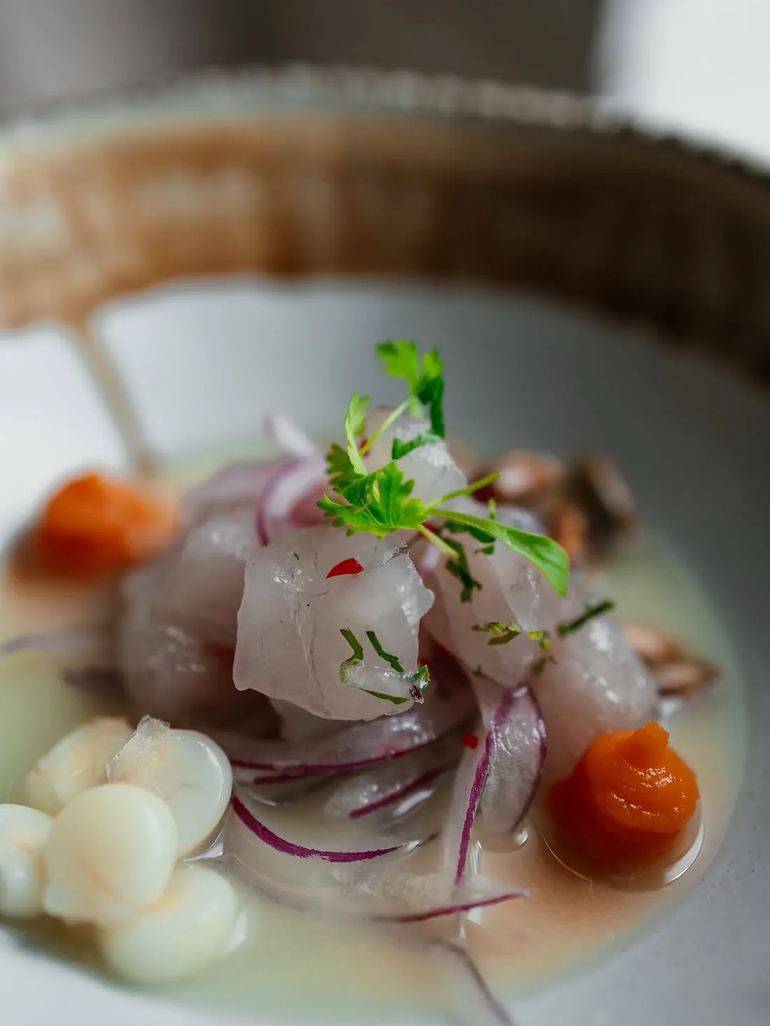 White fish ceviche with red onion, Peruvian corn and sweet potato